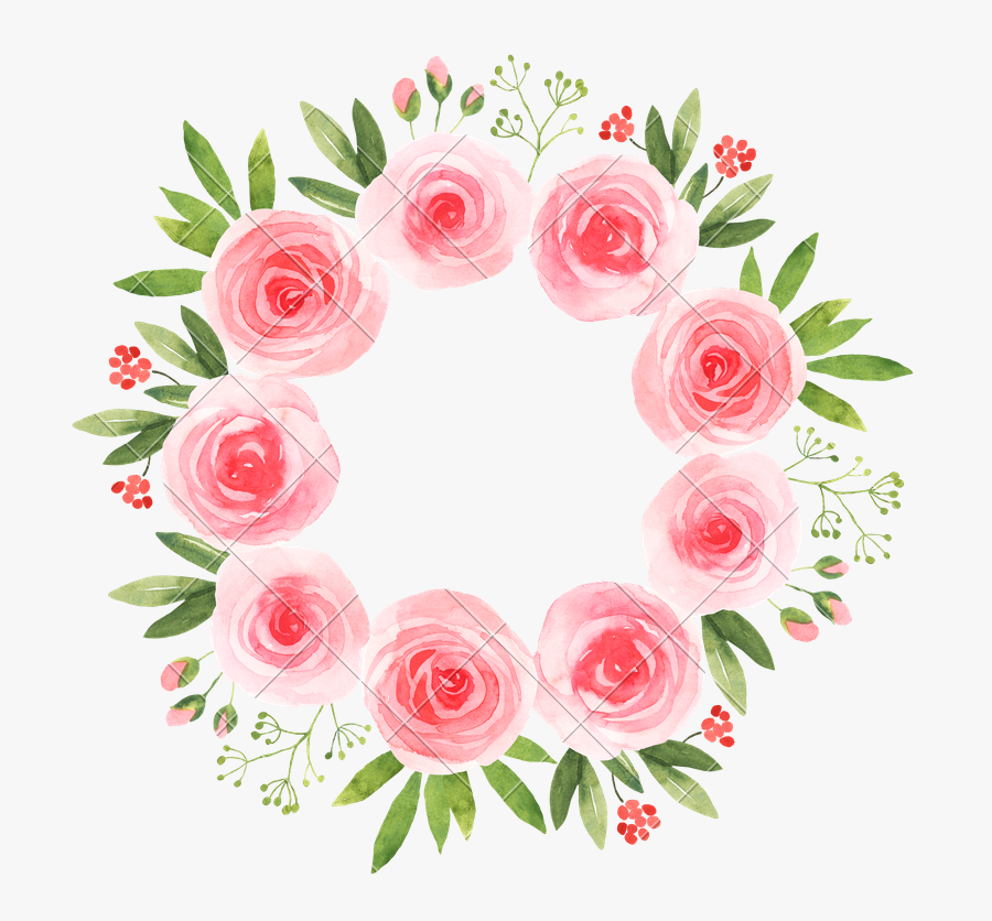 Watercolor Pink Roses Flower - Watercolor Pink Roses Flowers, Transparent Clipart