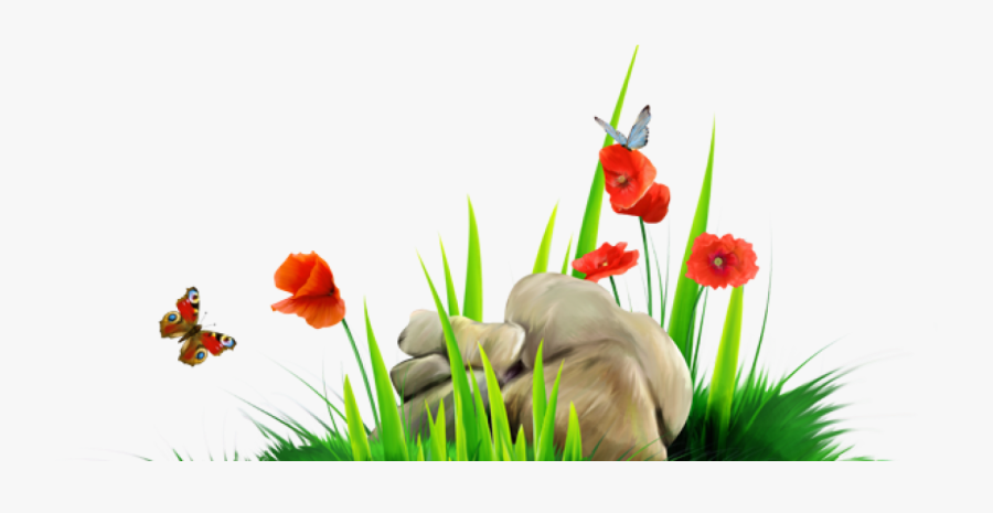 Flower Nature Grass Png, Transparent Clipart