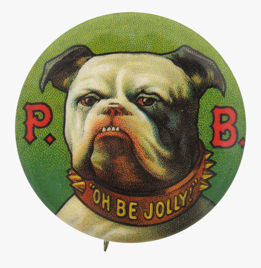 Bulldog Beer Button Museum - Olde English Bulldogge, Transparent Clipart