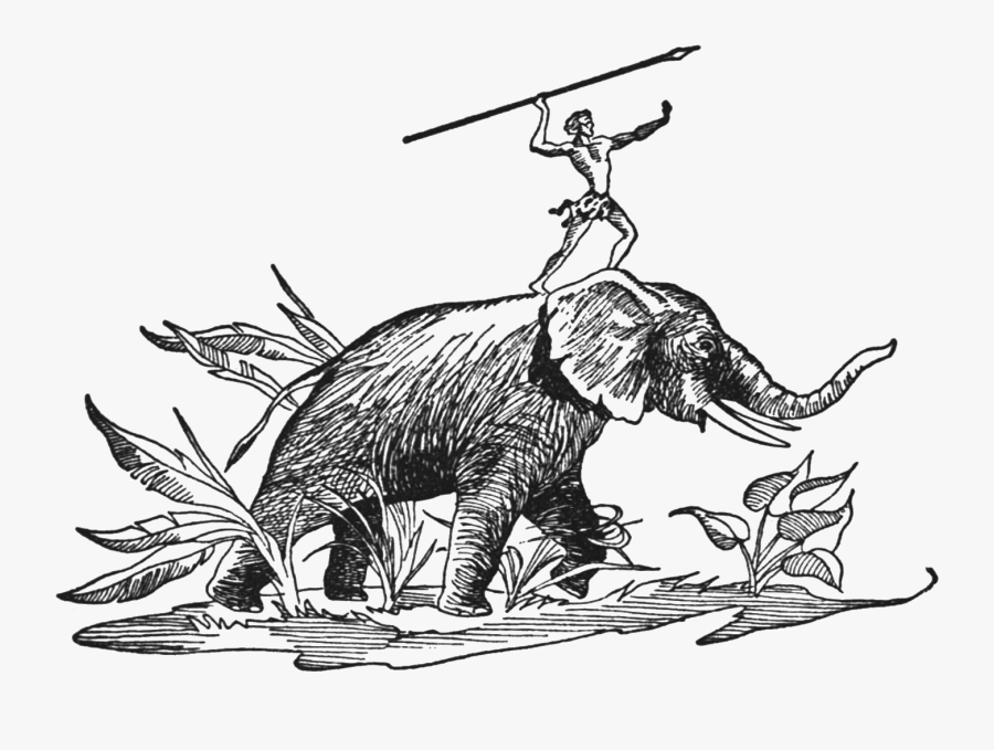 File - Jungletalestarzantitle - Illustration - Illustration, Transparent Clipart