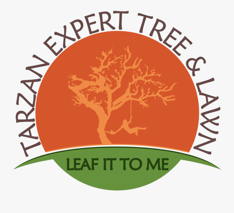 Transparent Tarzan Png - Volvo Duett, Transparent Clipart