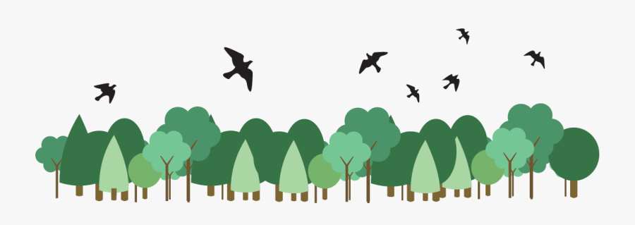 Birds Above The Trees, Transparent Clipart