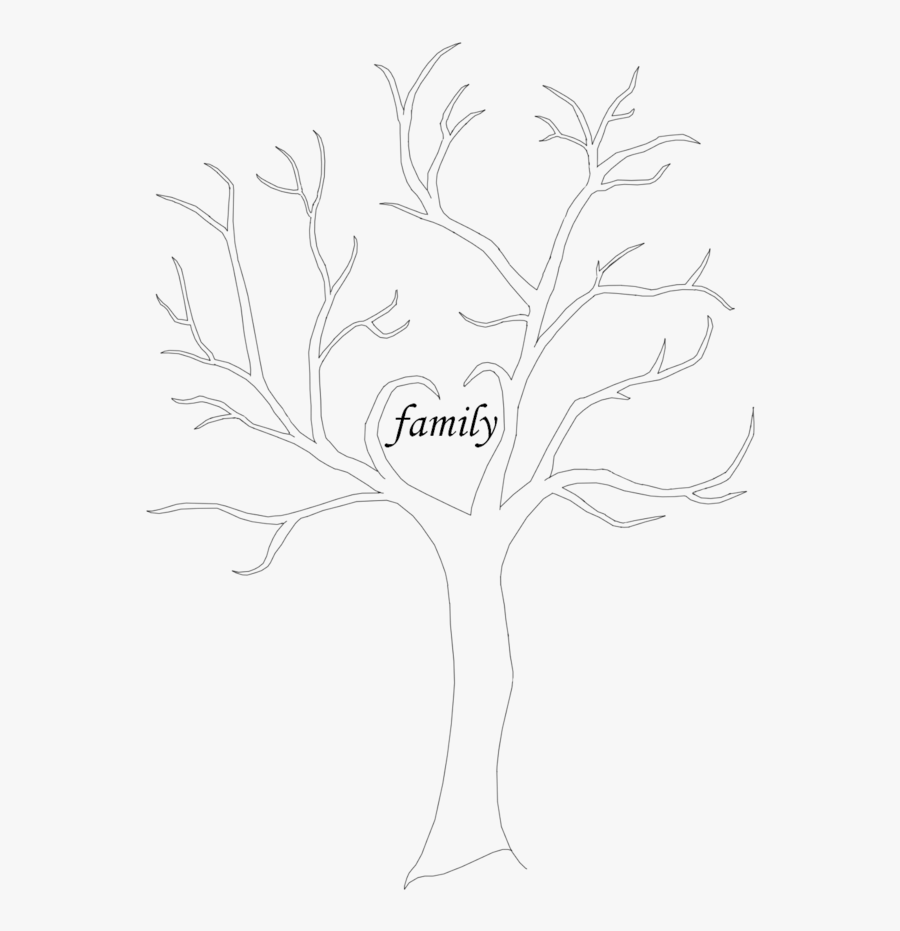 Clip Art Collection Of Free Branches - Sketch, Transparent Clipart