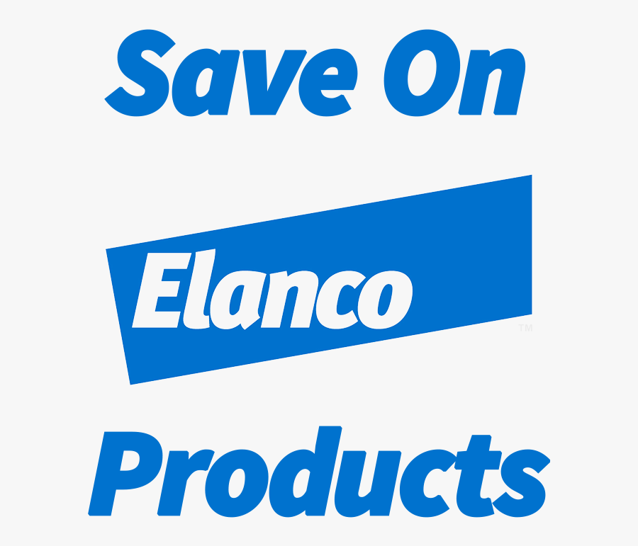 Graphic Design, Transparent Clipart