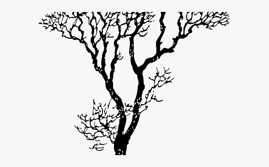 Tree Png Black And White, Transparent Clipart