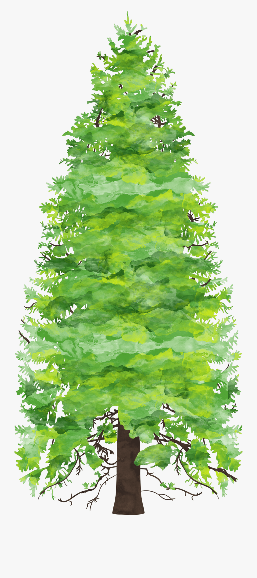 Preschool Kindergarten Always Learning - Christmas Tree, Transparent Clipart