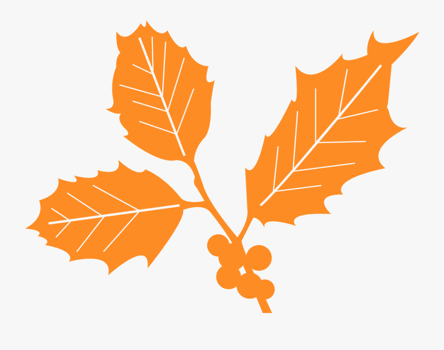 Holly Leaf Vector, Transparent Clipart