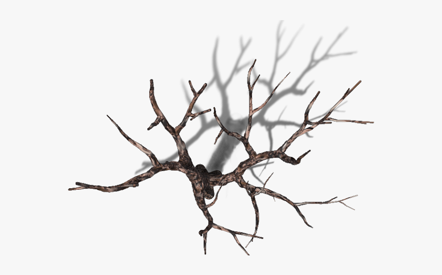 Dead Tree Top Down, Transparent Clipart