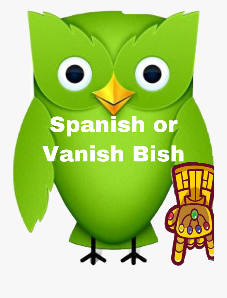 Spanish Or Vanish - 2012 Duolingo Owl, Transparent Clipart