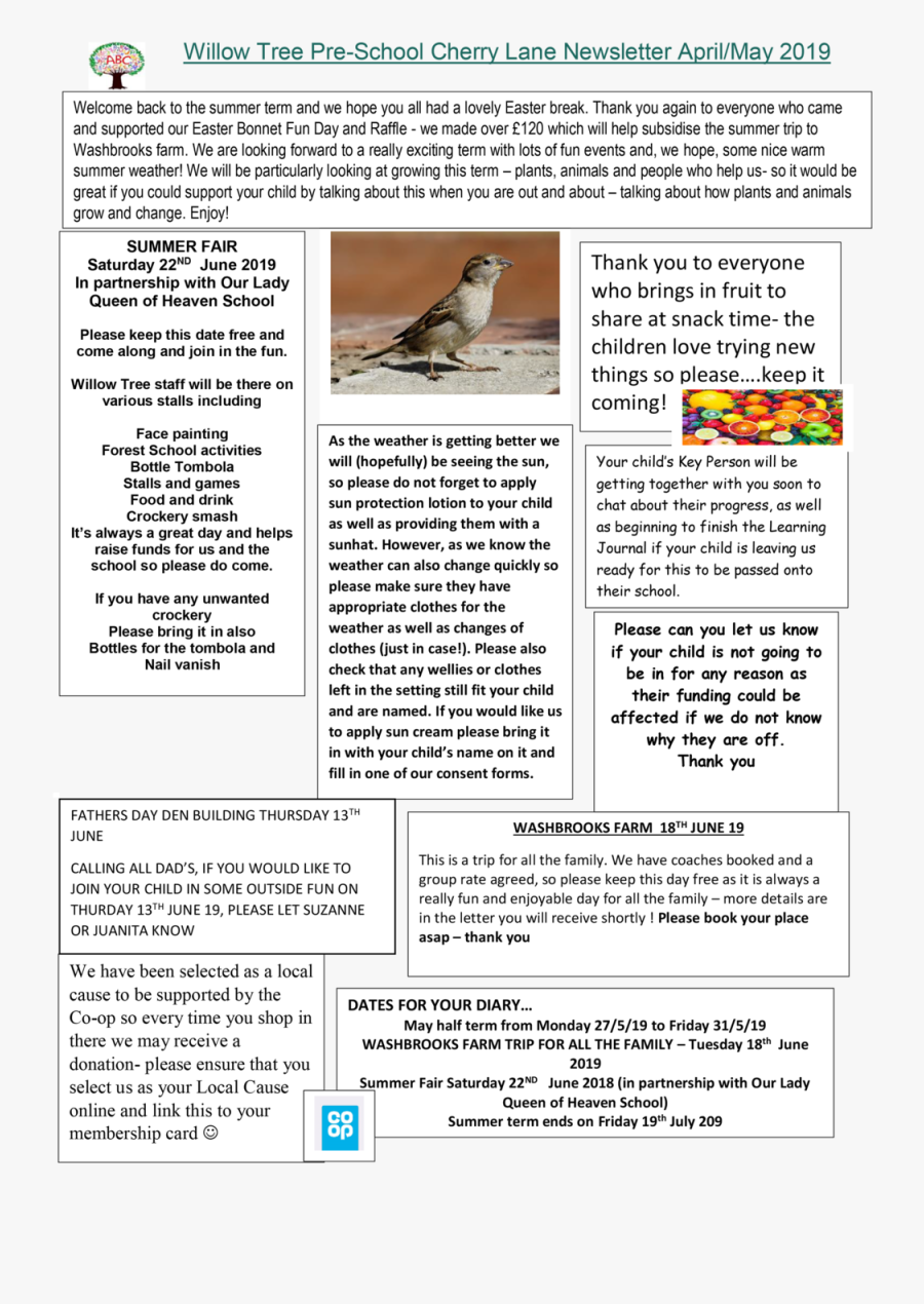 Pigeons And Doves - Plaza De San Marcos, Transparent Clipart