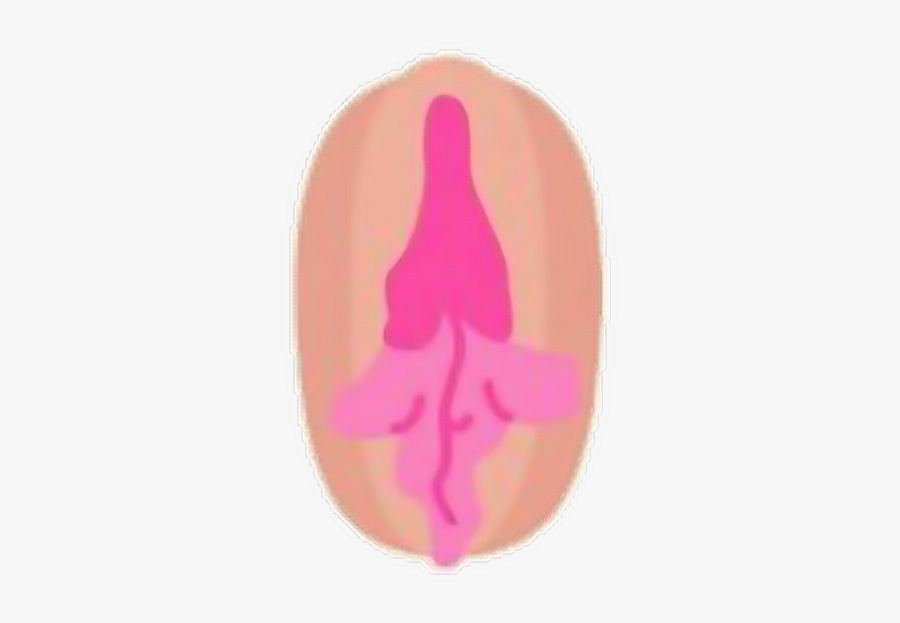 #feminismo #feminista #feminist #pussy #power #vagina - Illustration, Transparent Clipart