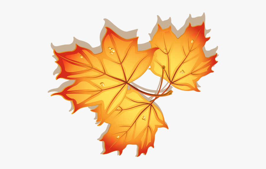 Autumn Leaves Animation, Transparent Clipart