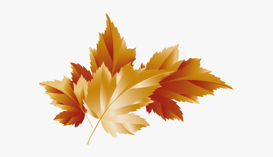 Maple Leaf Clipart Autumn Flower - Transparent Fall Leaves Clipart Background, Transparent Clipart