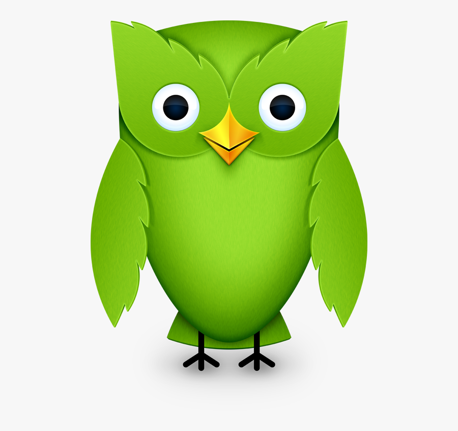 How To Learn A Language Without Leaving The Couch - 2012 Duolingo Owl, Transparent Clipart
