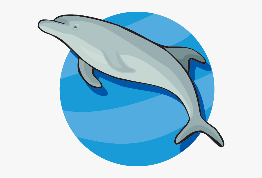 Dolphin - Conclusion Dolphin, Transparent Clipart