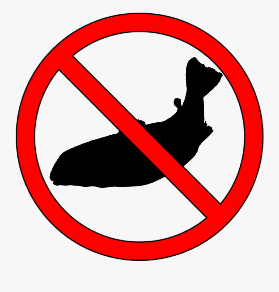 Don T Eat In Lab, Transparent Clipart