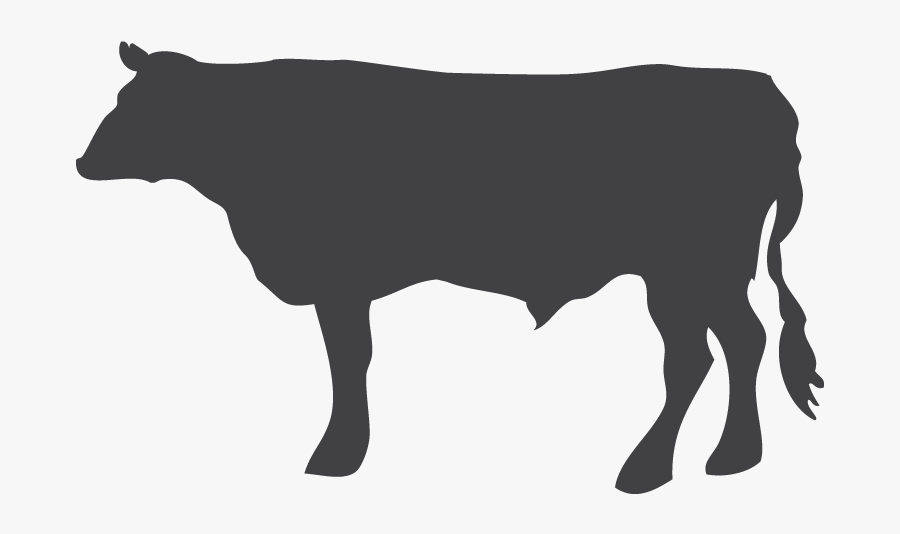 Meat Clipart T Bone Steak - Dairy Cow, Transparent Clipart