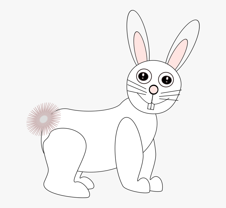 Rabits And Hares,carnivoran,hare - Drawing Of Cat Rabbit, Transparent Clipart