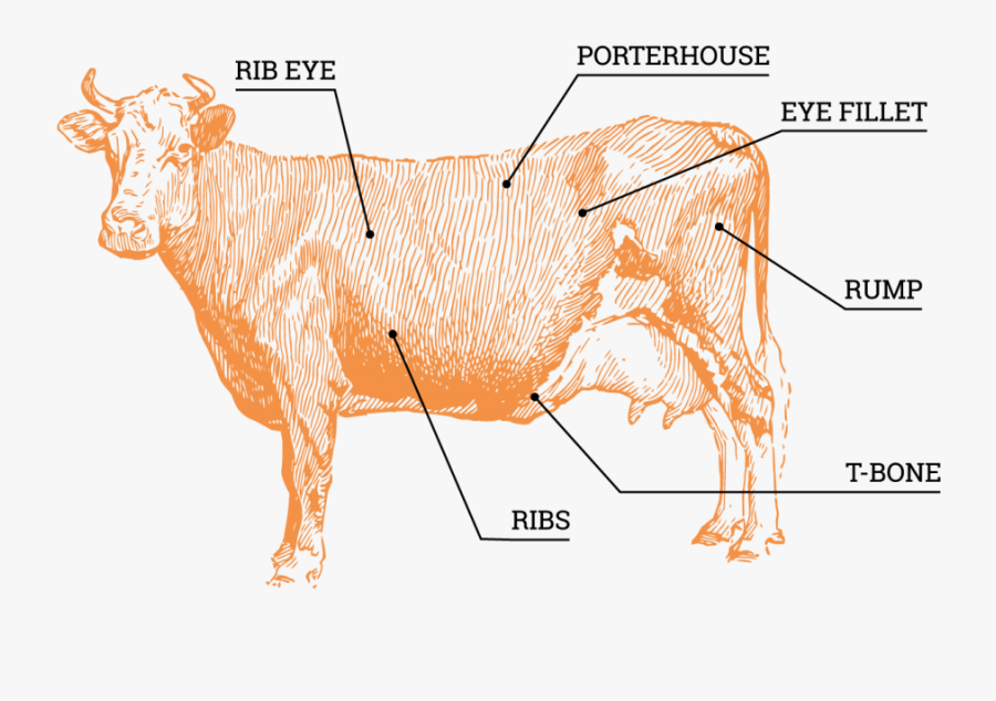 Cuts From The Bovine, Transparent Clipart