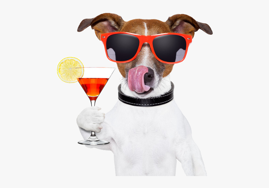 Sun Drink Dog Red Wine Png Free Photo Clipart - Happy Birthday Party Dog, Transparent Clipart