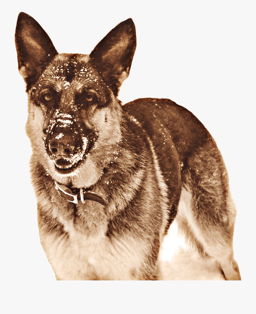 Clip Art Our Story Totally Raw - Companion Dog, Transparent Clipart