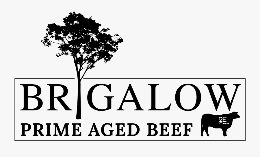 Brigalow Beef - Tree, Transparent Clipart