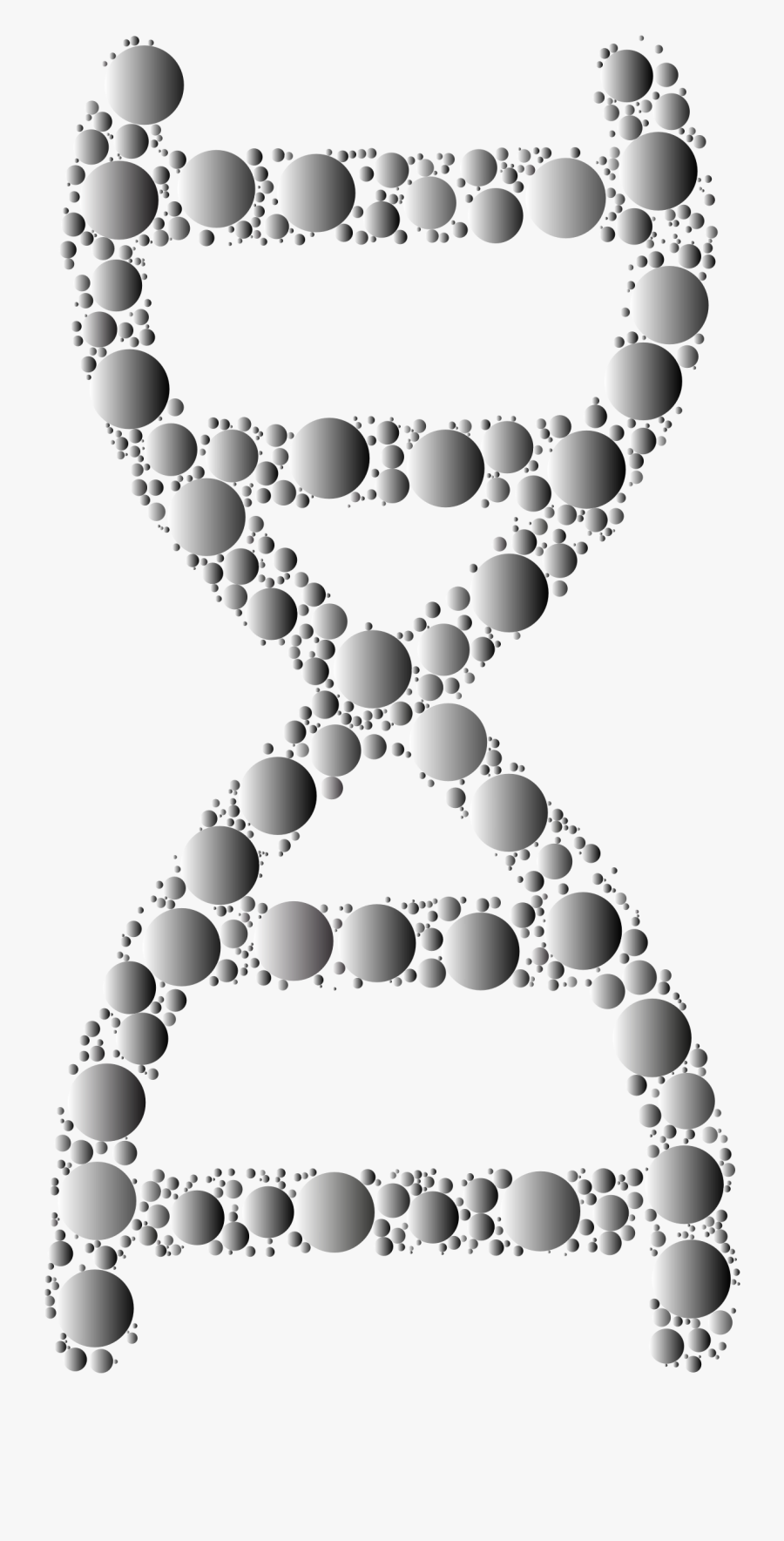 Prismatic Dna Helix Circles 3 Clip Arts - Circle, Transparent Clipart