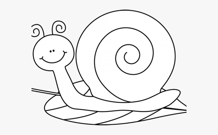 Snails Cliparts - Illustration, Transparent Clipart