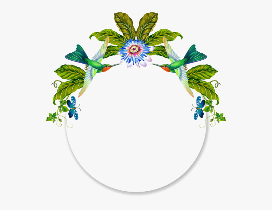 Frames Clipart , Png Download, Transparent Clipart