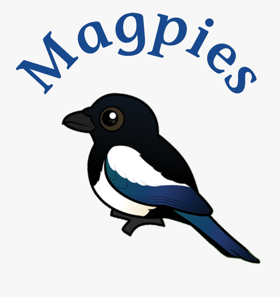 Eurasian Magpie, Transparent Clipart