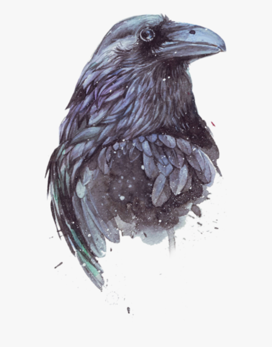 #bird #raven #crow #magpie #freetoedit - American Crow, Transparent Clipart