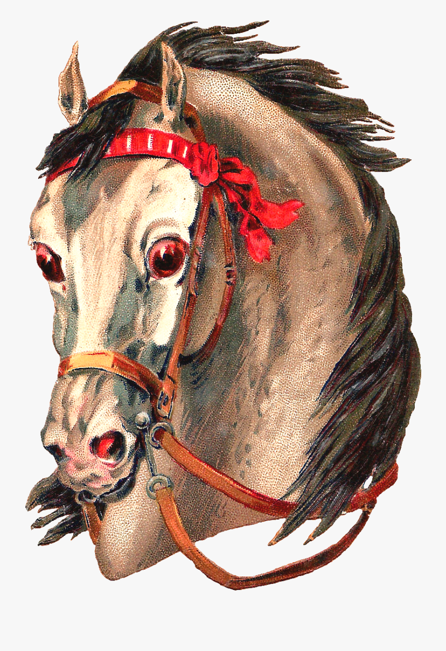 Victorian Horse Cliparts - Horse Face Vintage, Transparent Clipart