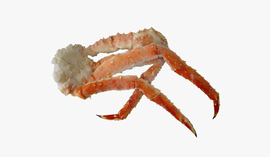 Clip Art Alaskan Leg Krabdem - King Crab, Transparent Clipart