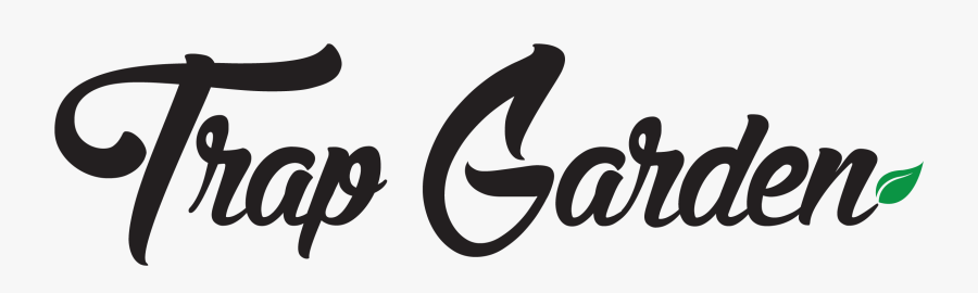 Calligraphy, Transparent Clipart