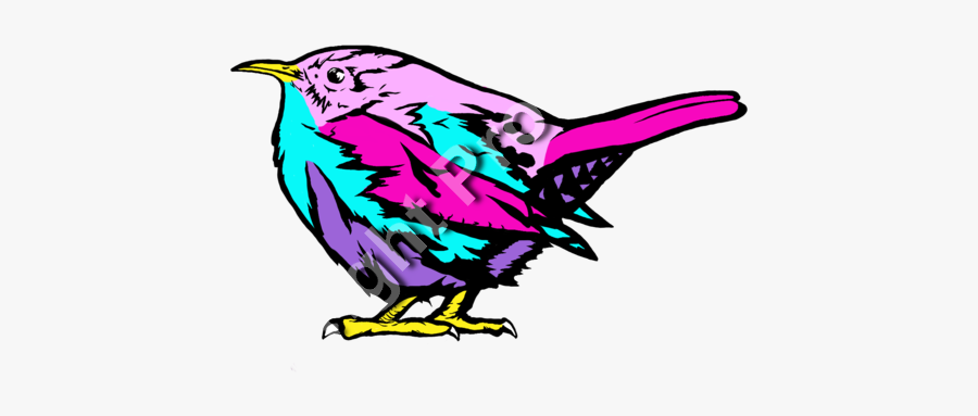 Carolina Wren Coldtony - Illustration, Transparent Clipart