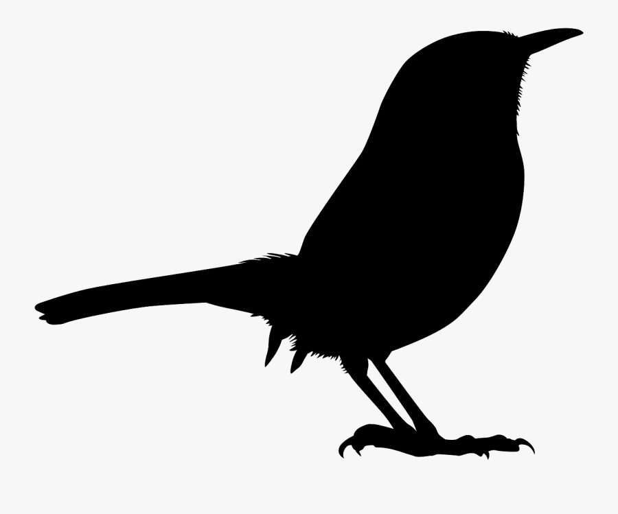Wren Vector, Transparent Clipart