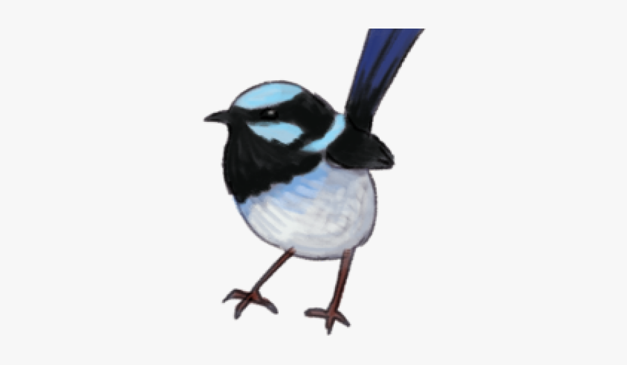 Wren Png Transparent Images - Fairy Wren Transparent Background, Transparent Clipart
