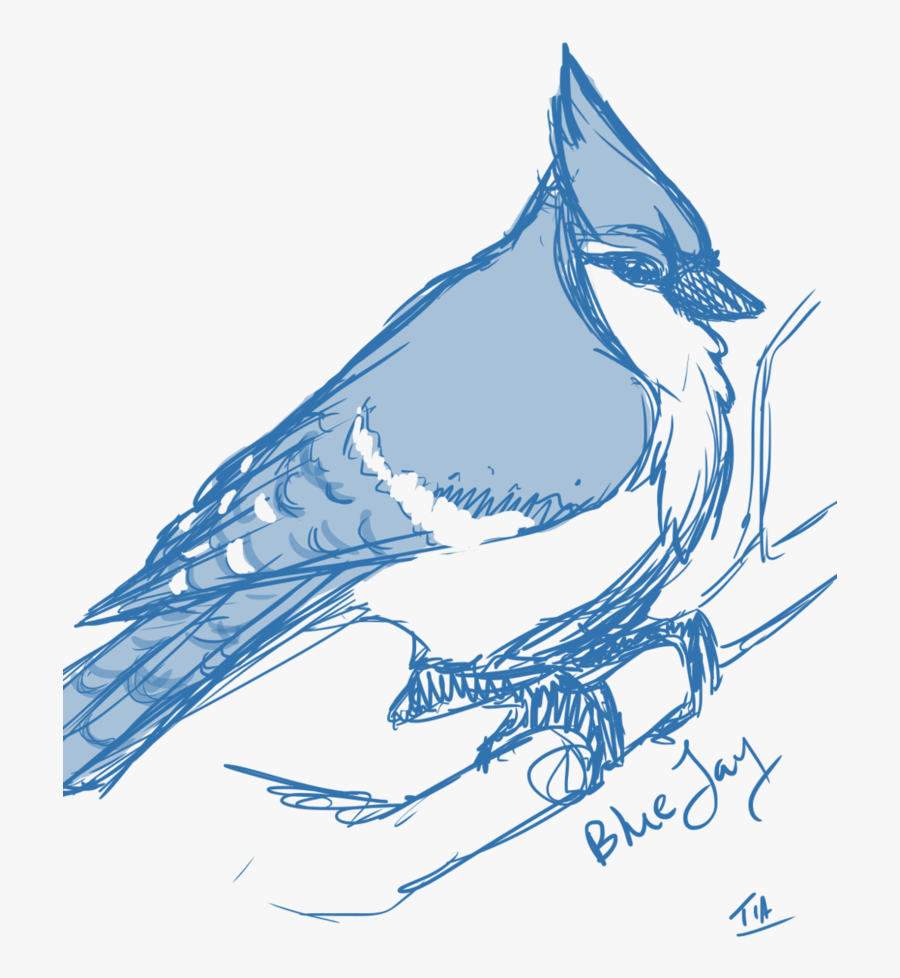 Blue Jay By Tiamatsvoid - Blue Jay, Transparent Clipart