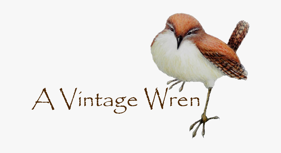 Clip Art Nh Made Member Directory - Semipalmated Plover, Transparent Clipart