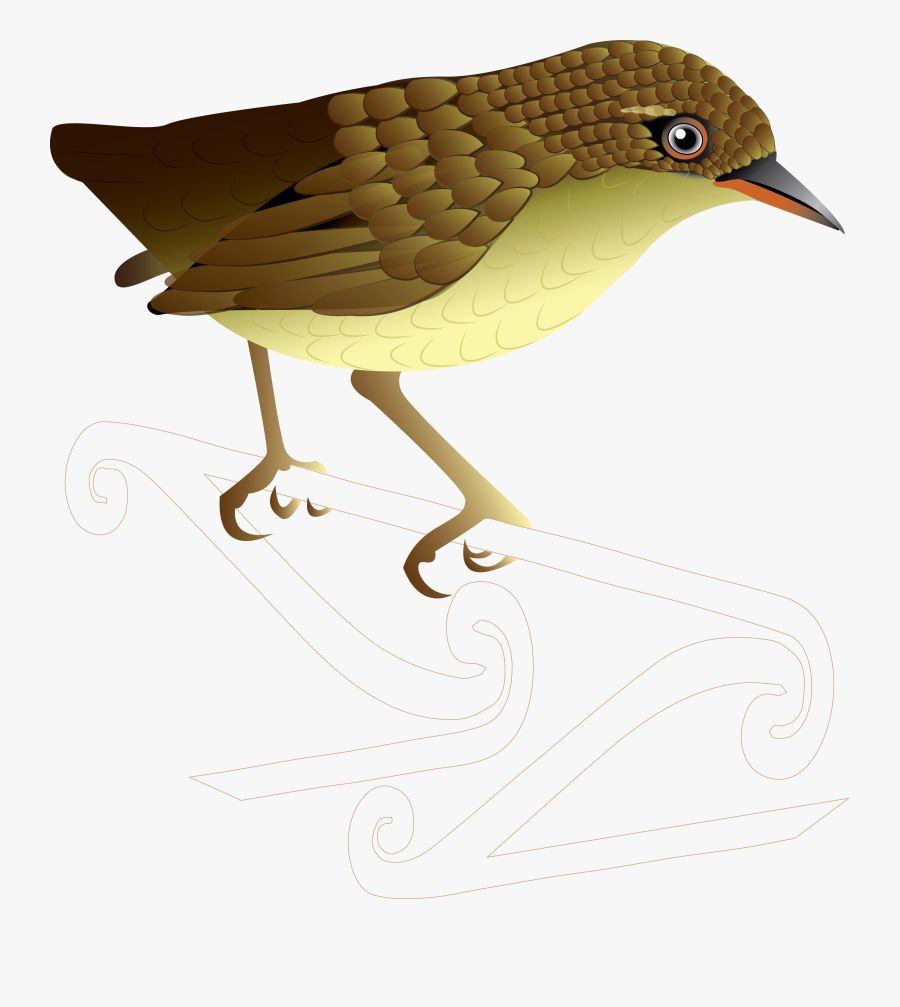 Stephens Island Wren - Old World Flycatcher, Transparent Clipart