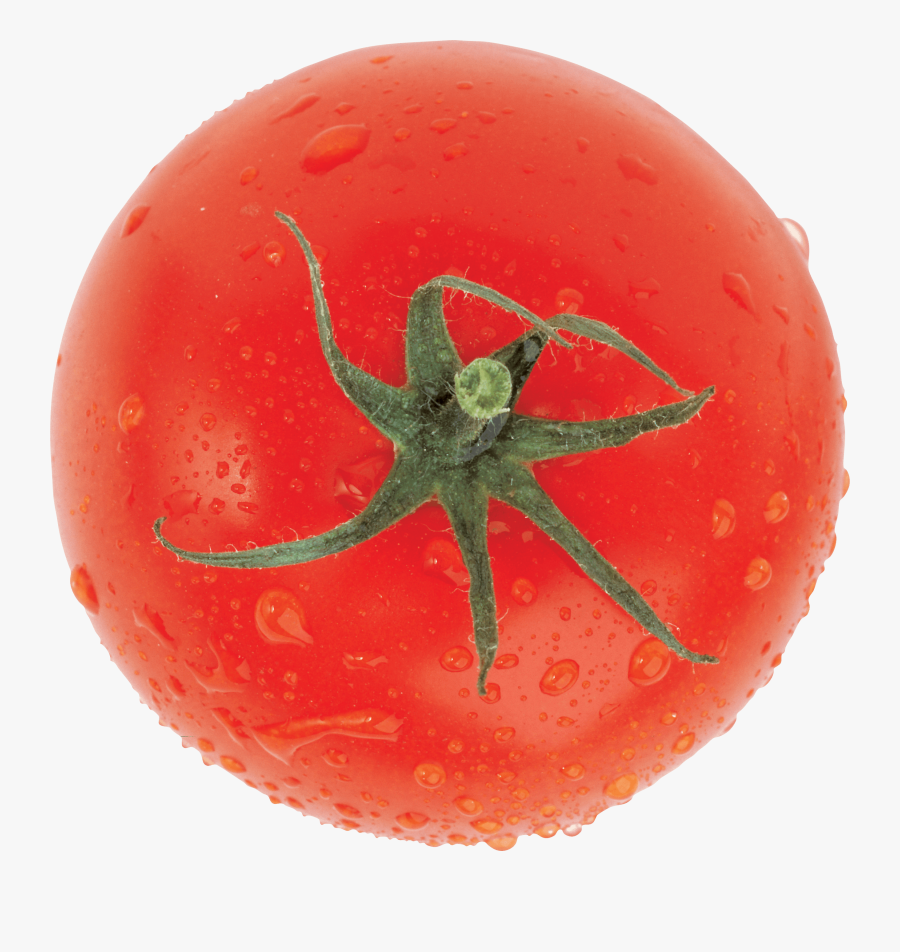Tomato, Transparent Clipart
