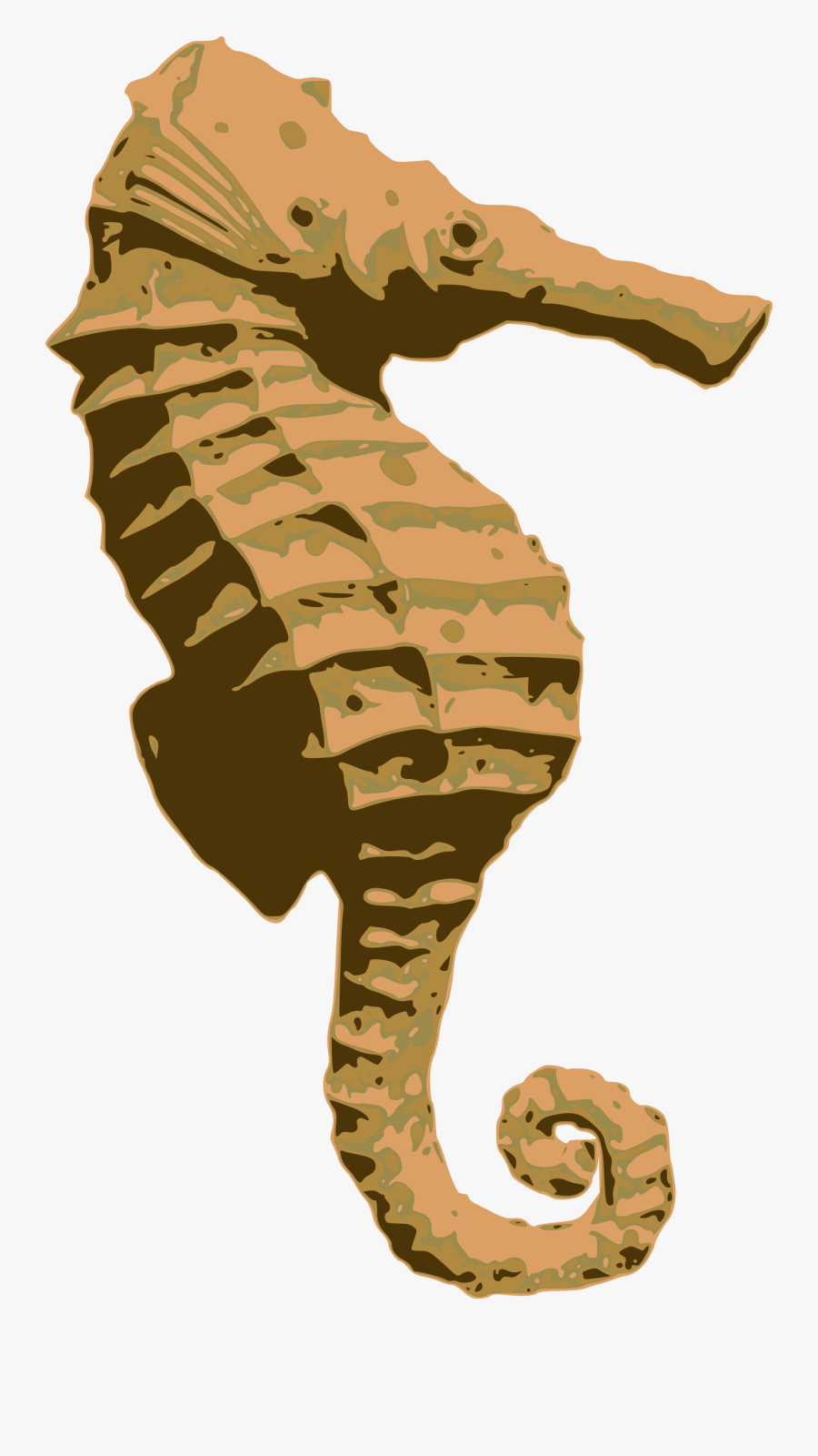 Seahorse Clipart Orange - Northern Seahorse, Transparent Clipart