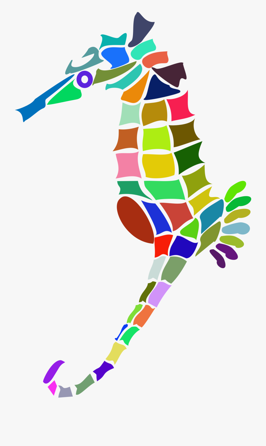 Area,seahorse,artwork - 가시 해마 멸종 위기, Transparent Clipart