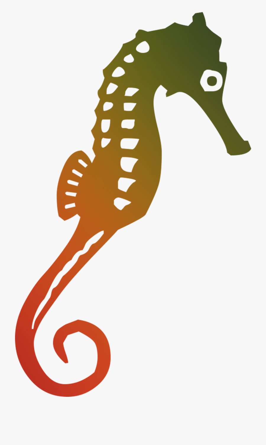 Seahorse Clip Art Graphics Image Illustration - Seahorse Graphic, Transparent Clipart