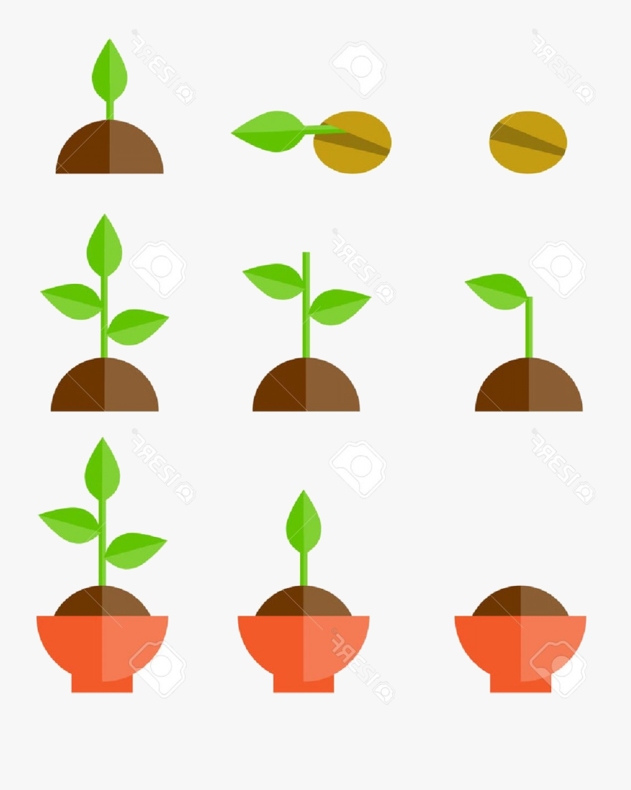 Soil Free Clipart Seed Dispersal Clip Art On Transparent - Illustration, Transparent Clipart