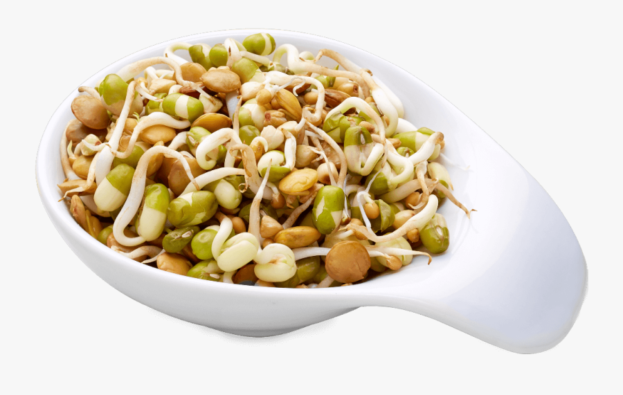 Mung Bean, Transparent Clipart