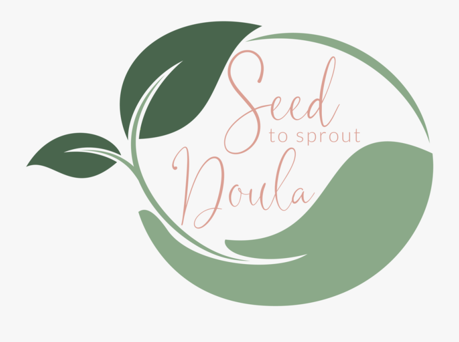 Sprouting Seed Clipart, Transparent Clipart