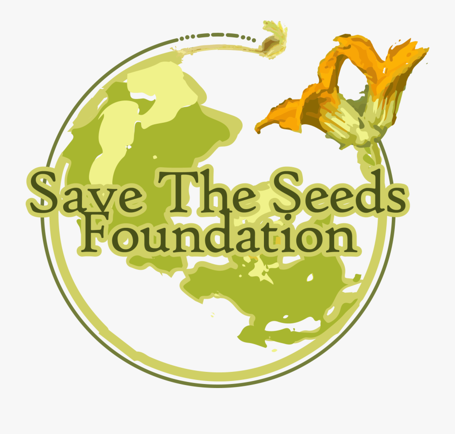 Graphic Design, Transparent Clipart