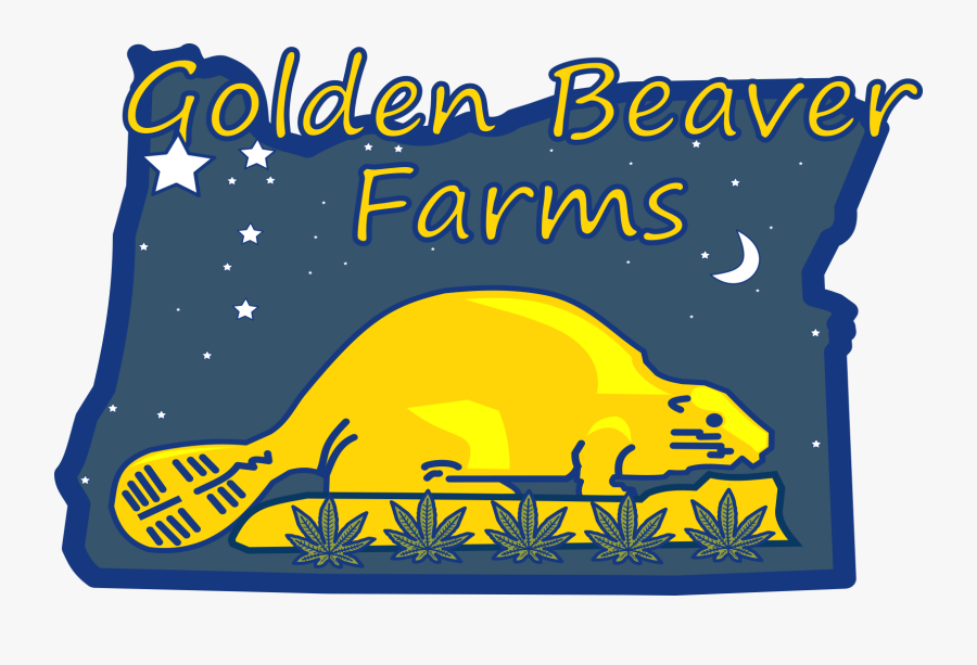 Golden Beaver, Transparent Clipart