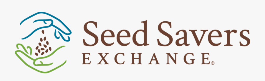 Sprouting Seed Clipart, Transparent Clipart